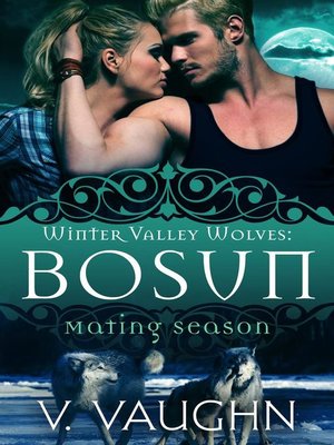 cover image of Bosun